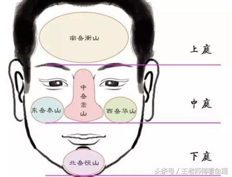 頭角崢嶸 意思